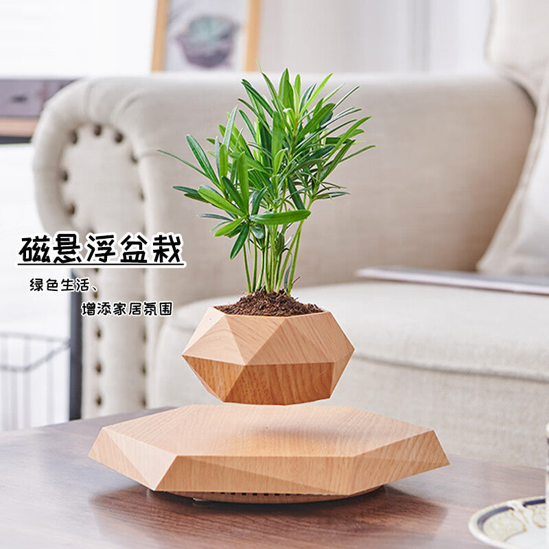 Magnetic Levitation Plant Pot