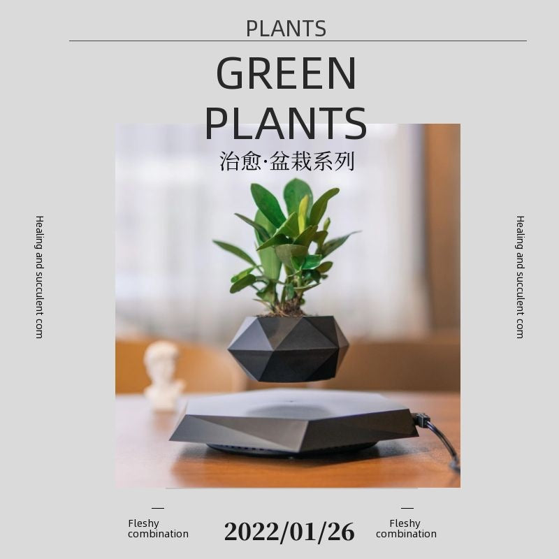 Magnetic Levitation Plant Pot