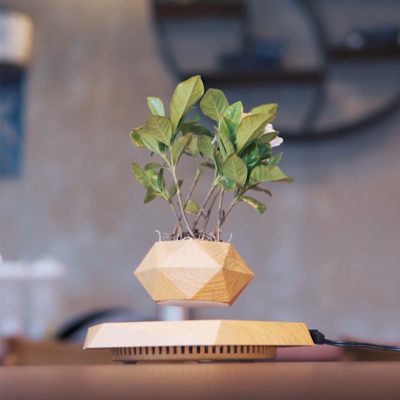 Magnetic Levitation Plant Pot