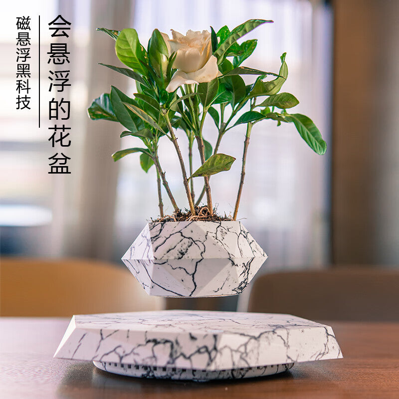 Magnetic Levitation Plant Pot