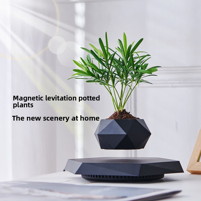 Magnetic Levitation Plant Pot